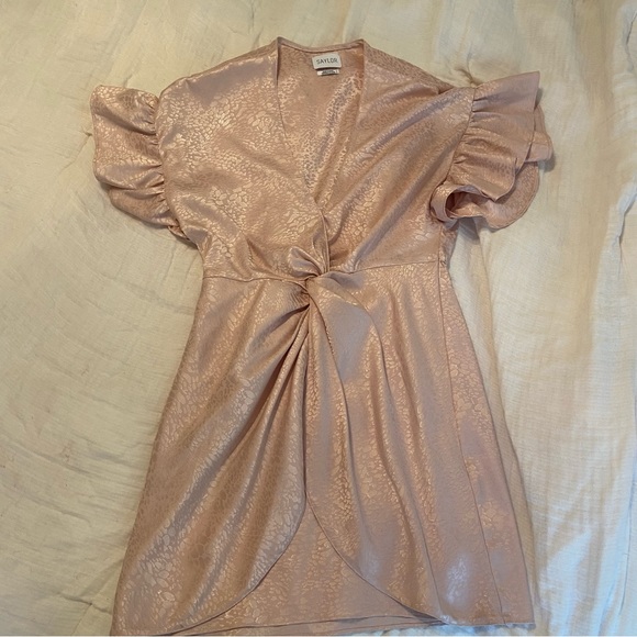 Saylor Ruffle Sleeve Mini Brookey Dress In Blush - Picture 5 of 7